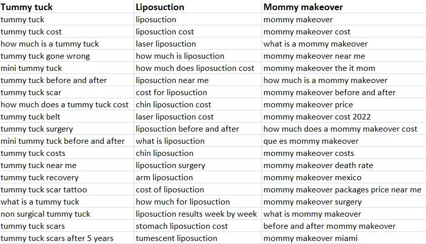 List of keywords relating to plastic surgery core service areas and corresponding subareas.